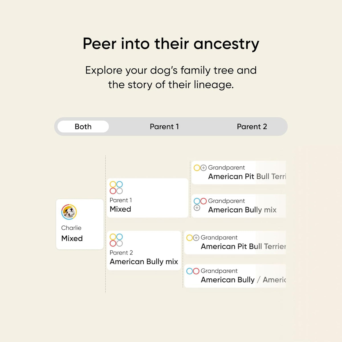 Embark Breed & Health Dog DNA Test – 400+ Breeds, 270+ Health Risks | Only dog DNA test with allergy risk scores. Coat traits, canine relative finder, genetic cancer risk score included.
