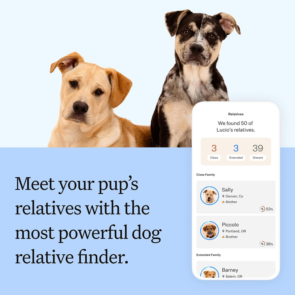 Wisdom Panel Breed Discovery Dog DNA Testing Kit - Most Accurate Dog Breed Identification - Test for 430+ Breeds, MDR1 Health Test, Ancestry, Relatives