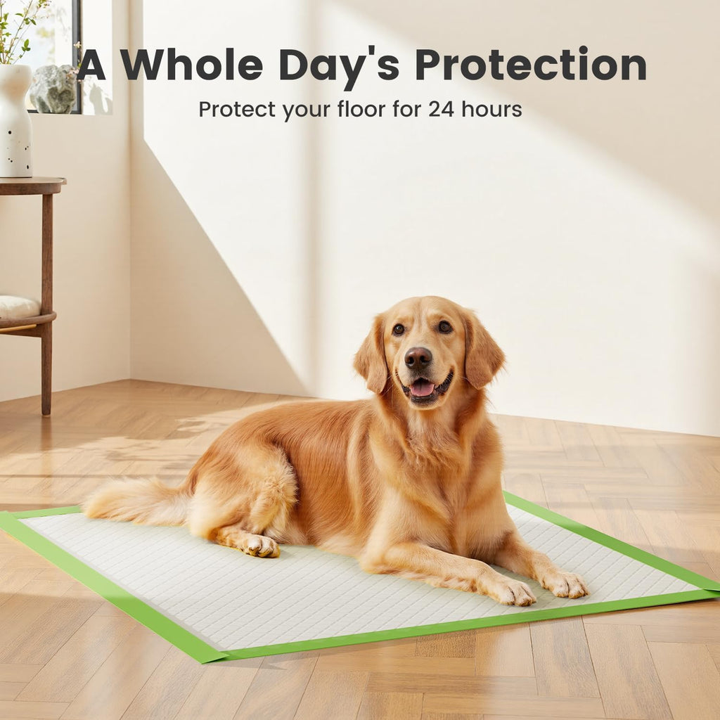 Gardner Pet Dog Pee Pads Extra Large 28"x34", XL Thicker ECO Green Disposable XLarge Puppy Training Pads Super Absorbent Full Edge-Wrapping Pad for Dogs, Puppies, Doggie, Cats, Rabbits-(30 Count) | Extra Large(XL) 28"x34", Max Absorbency Disposable Puppy 