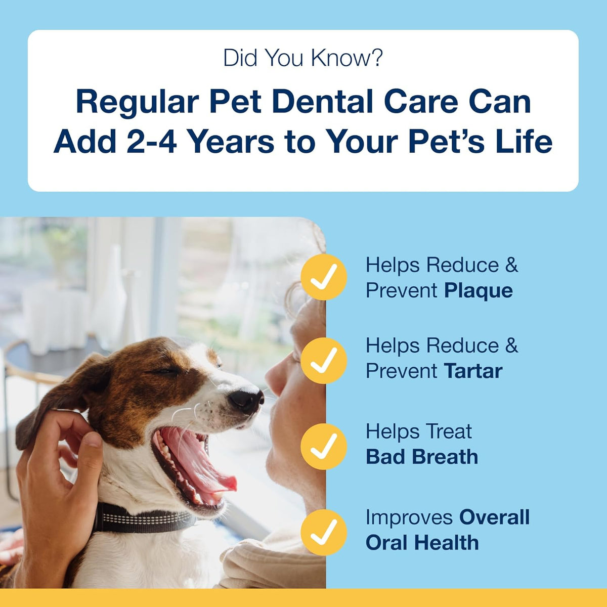 ProDen PlaqueOff Dental Soft Chews with Natural Kelp for Dogs - 90 Ct | Ideal for Small & Medium Breed Dogs & Cats - Supports Normal, Healthy Teeth, Gums & Breath Odor
