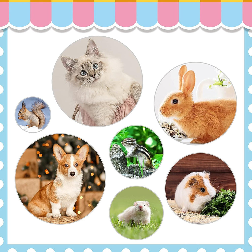 Rabbit Grooming Kit, Rabbit Brush for Shedding with Bunny Nail Clipper, Rabbit Nail Trimmers with Pet Combs for Hamster Guinea Pig Ferret by KALAMANDA