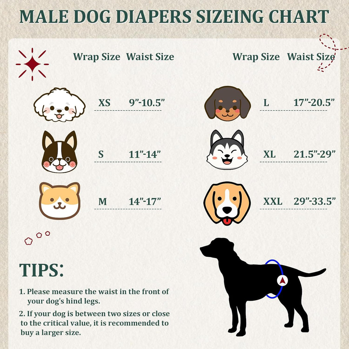 Reusable Dog Diapers Male, Premium Washable Belly Bands for Dogs, Pack of 5, High Absorbing Extra Small Dog Wraps for Doggie & Puppy in Incontinence or Excitable Urination and Training(XS)