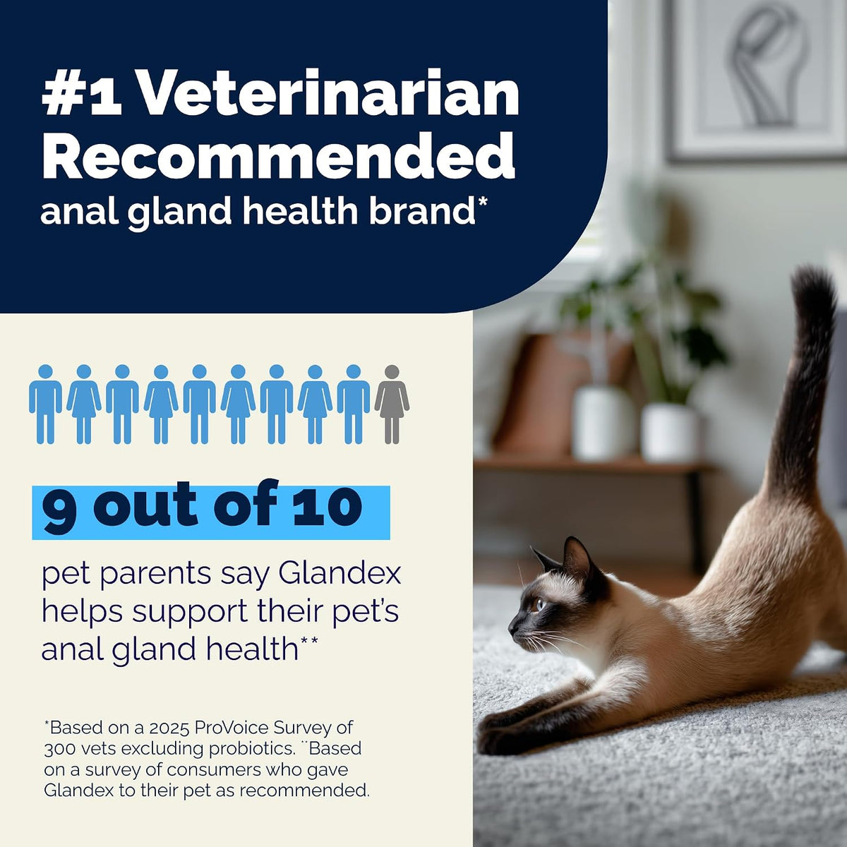 Vetnique Glandex for Cats, Anal Gland Powder & Fiber for Scooting