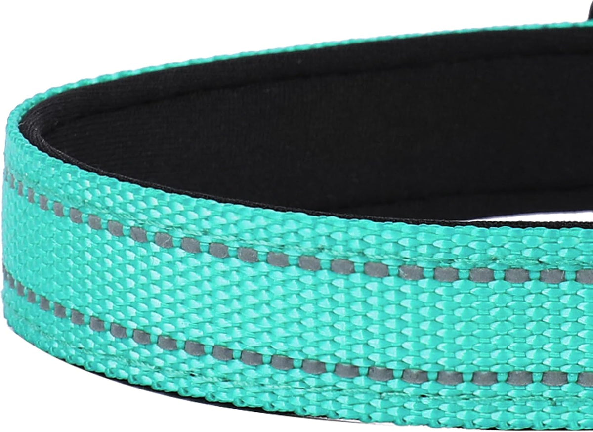 Reflective Dog Collar, Adjustable Soft Neoprene Padded,Teal,M
