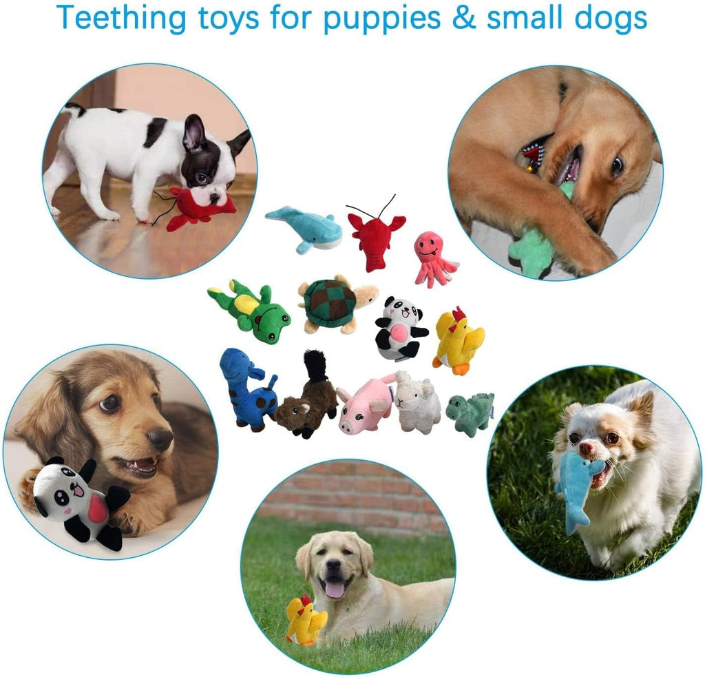 LEGEND SANDY Squeaky Plush Dog Toy Pack for Puppy, Small Puppy Chew Toys | 12 pcs Puppy Toys, Dog Toys Bulk with Squeakers, Cute Soft Pet Toy for Small Medium Size Dogs, Gift fot Pet