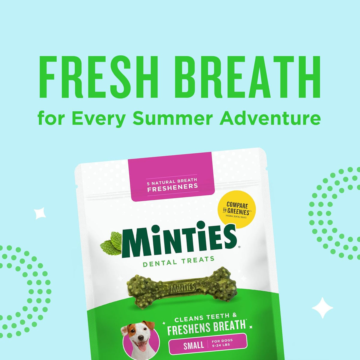 Minties Dog Dental Bone Treats, Tiny/Small Dental Dog Treats, Clean Teeth, Fight Bad Breath, Removes Plaque and Tartar, 80 Count