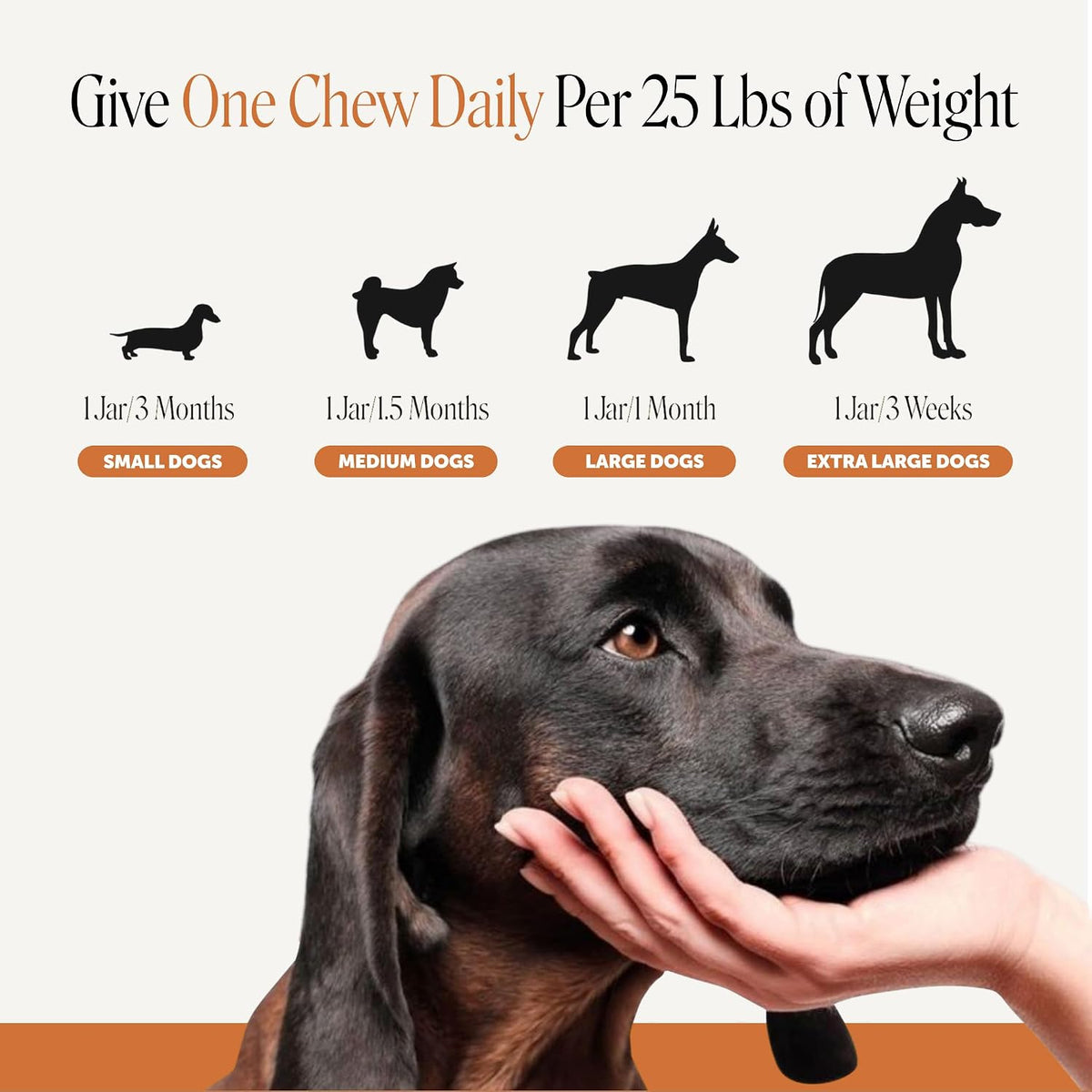 Outdoor Defense Natural Flea and Tick Prevention for Dogs Supplement - Dog Chews to Deter Seasonal Pests with Garlic, Apple Cider Vinegar, Coconut Oil and Brewer's Yeast (Hickory Bacon, 90 Ct)