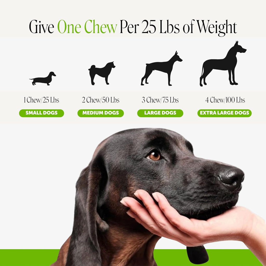 Grass Green Dog Urine Neutralizer for Lawns - Stops Yellow Burn Spots & Brown Grass - Lawn Saver Supplement with dl-Methionine, Probiotics & Digestive Enzymes - Green Grass Chews (Duck, 90 Ct)
