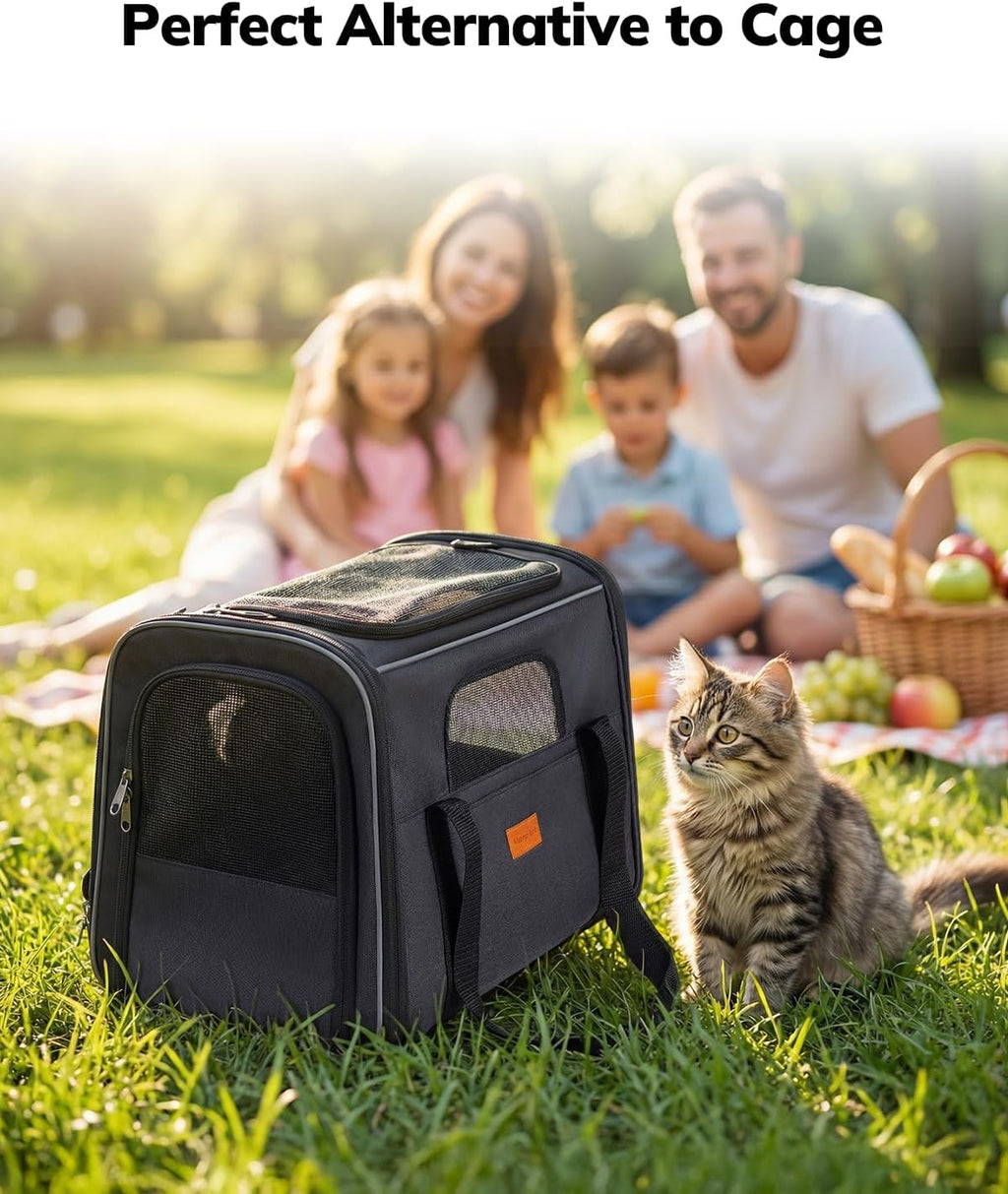 Morpilot Cat Carrier Soft for Large Medium Cats and Puppy up to 20lbs