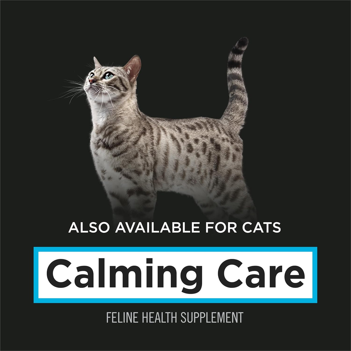 Pro Plan Veterinary Supplements Calming Care Dog Supplements - Supports Dogs with Everyday Stress, Anxious Behaviors