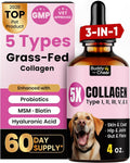 Premium Collagen for Dogs & Cats – 5 Types of Grass-Fed Collagen (I, II, III, V & X), Fast Allergy & Itch Relief Dog Colágeno with MSM, Biotin & Hyaluronic Acid – Supports Healthy Skin & Joints –120ml