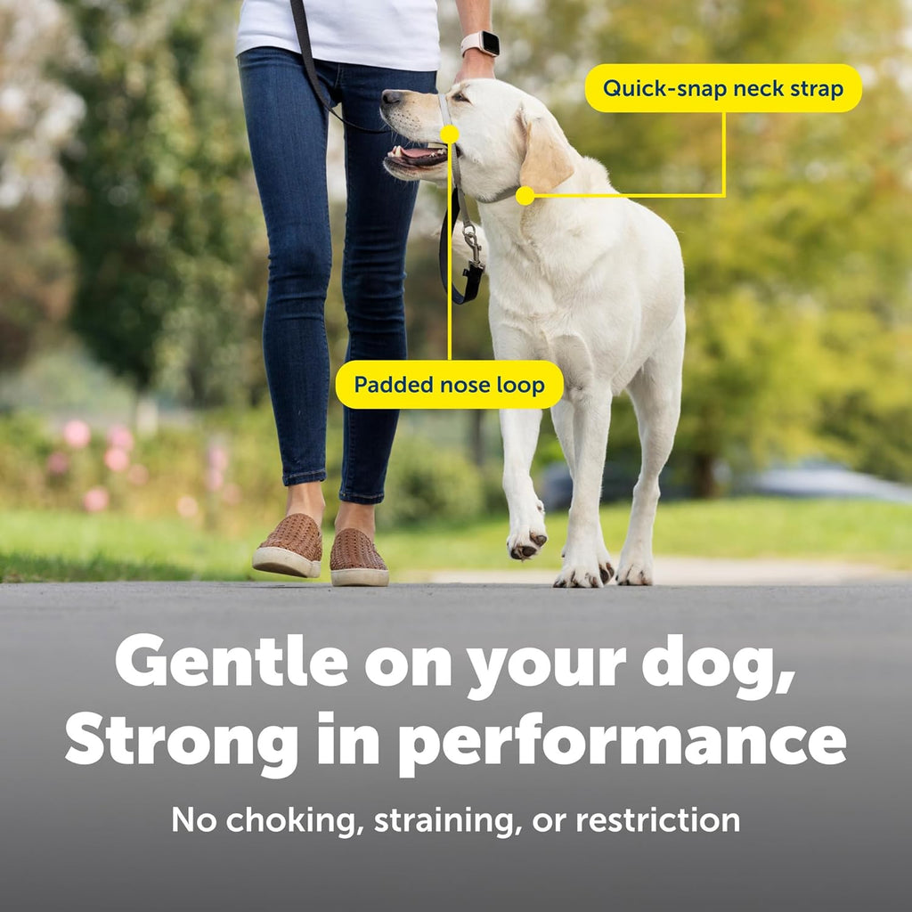 PetSafe Gentle Leader No Pull Dog Headcollar, Royal Blue, Medium | Veterinary Behaviorist-Designed No-Pull Headcollar Redirects Pulling Instinct, Padded Neoprene Nose Loop, Quick-Snap Fit