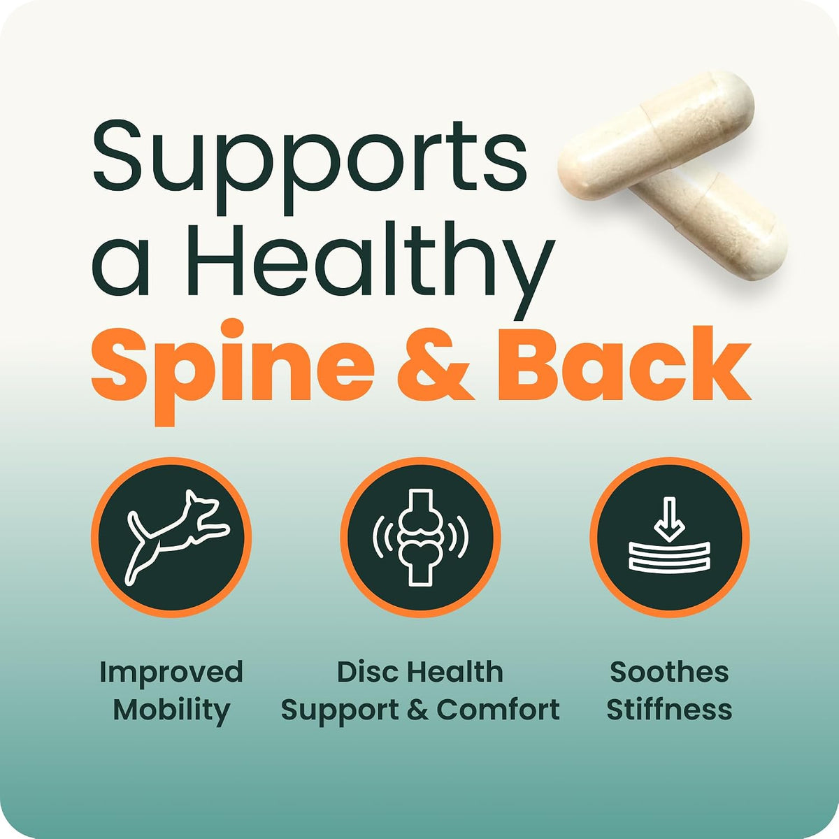 VetriScience Healthy Spine & Disc for Dogs, 180 Count | Back & Spinal Support Chondroitin & Taurine for Dogs, Perfect for Dachshunds, Corgis, Frenchies, Basset Hounds & More
