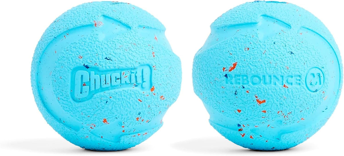 Chuckit! Rebounce Ball Dog Toy, Medium 2.5 Inch, for Dogs 20-60 lbs, Blue | Bouncy rubber build, unpredictable bounce pattern, durable outdoor construction, pack of 2 balls, great for playtime today