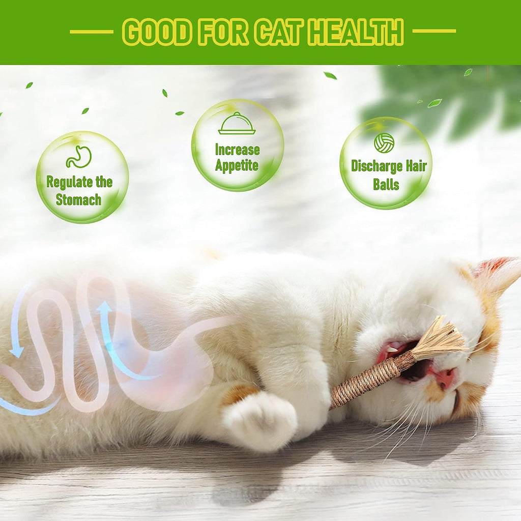 BAWAN Silvervine Sticks Cat Chew Toys for Indoor Cats Dental Care Teeth Cleaning, Natural Kitten & Cat Teething Toys for Health, Cat Chew Stick Suitable for All Breeds of Aggressive Chewers Cat