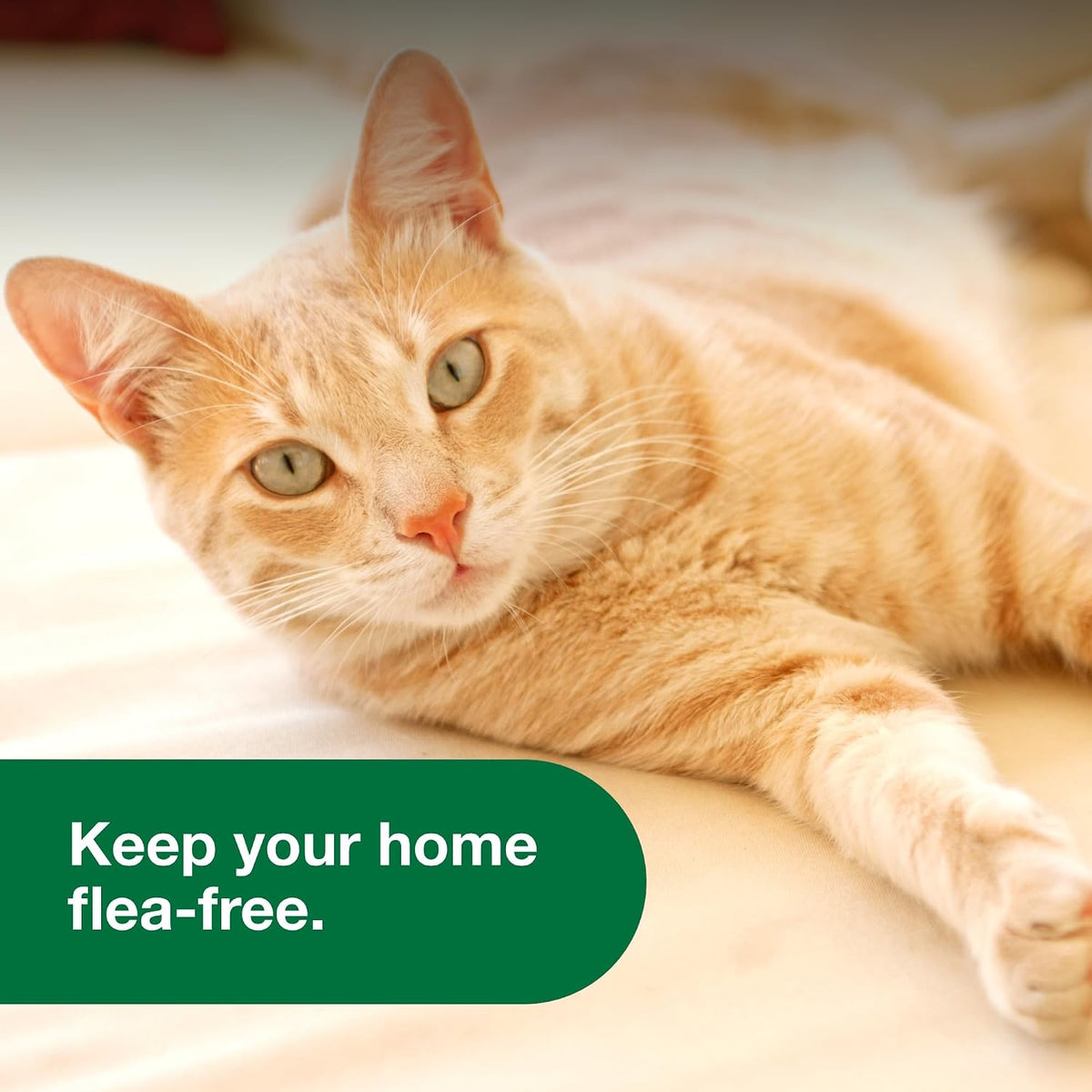 Advantage Household Spot & Crevice Spray | Kills Fleas & Ticks & Bedbugs | 24 oz.