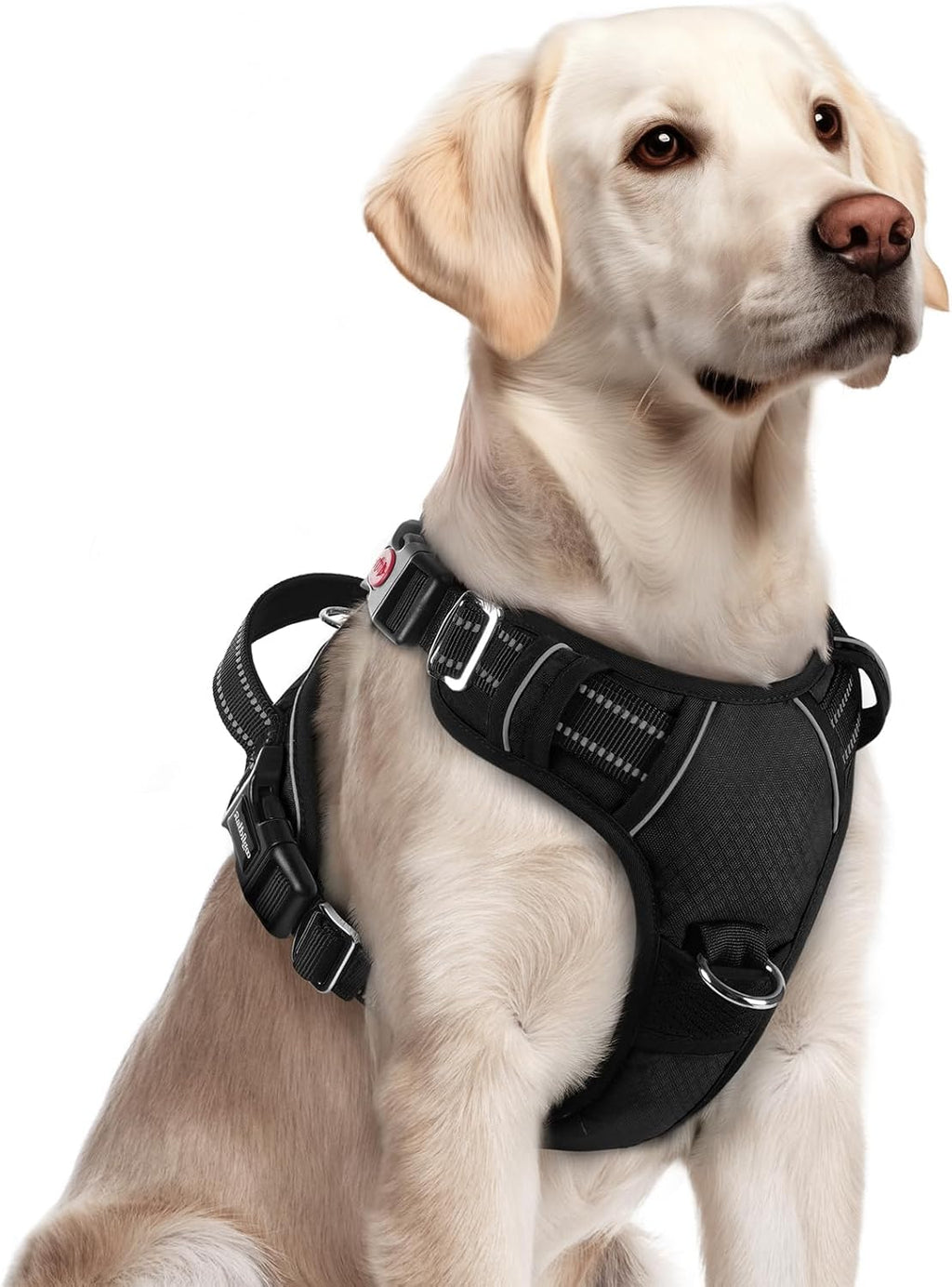 rabbitgoo Dog Harness for Large, No Pull 3 Buckles Easy On & Off