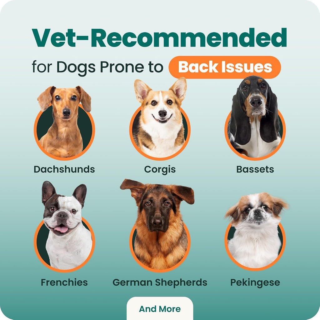 VetriScience Healthy Spine & Disc for Dogs, 180 Count | Back & Spinal Support Chondroitin & Taurine for Dogs, Perfect for Dachshunds, Corgis, Frenchies, Basset Hounds & More