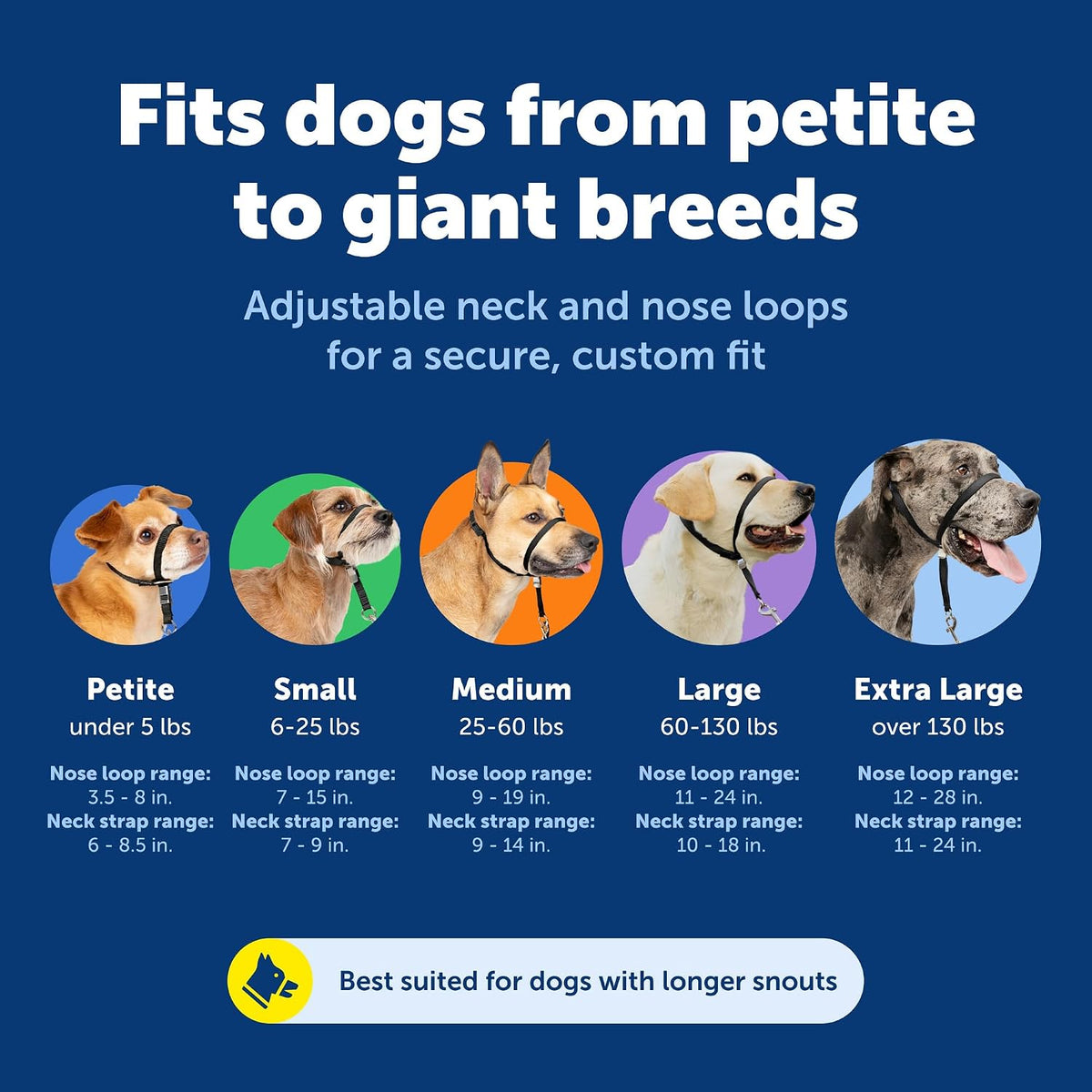 PetSafe Gentle Leader No Pull Dog Headcollar, Royal Blue, Medium | Veterinary Behaviorist-Designed No-Pull Headcollar Redirects Pulling Instinct, Padded Neoprene Nose Loop, Quick-Snap Fit