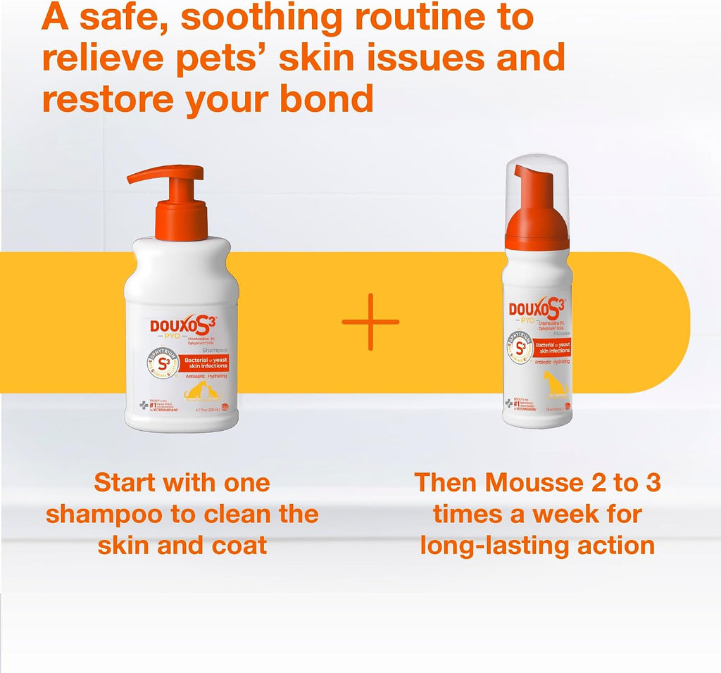 Douxo S3 PYO Medicated Dog Mousse - Bacterial & Yeast Infection Treatment | Chlorhexidine for Dogs; Waterless Shampoo, Antibacterial & Antiseptic, for Dogs Only, Clinically Proven, 5 fl oz