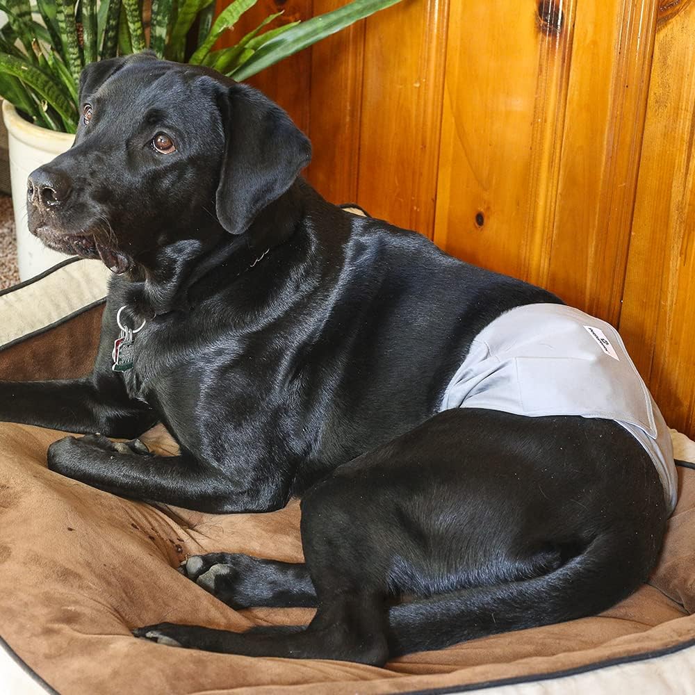 Pet Parents® Washable Belly Bands for Dogs (3pack) + Extendrs® Durable Dog Diapers - Premium Male Dog Diapers & Wraps (X-Small, Natural)