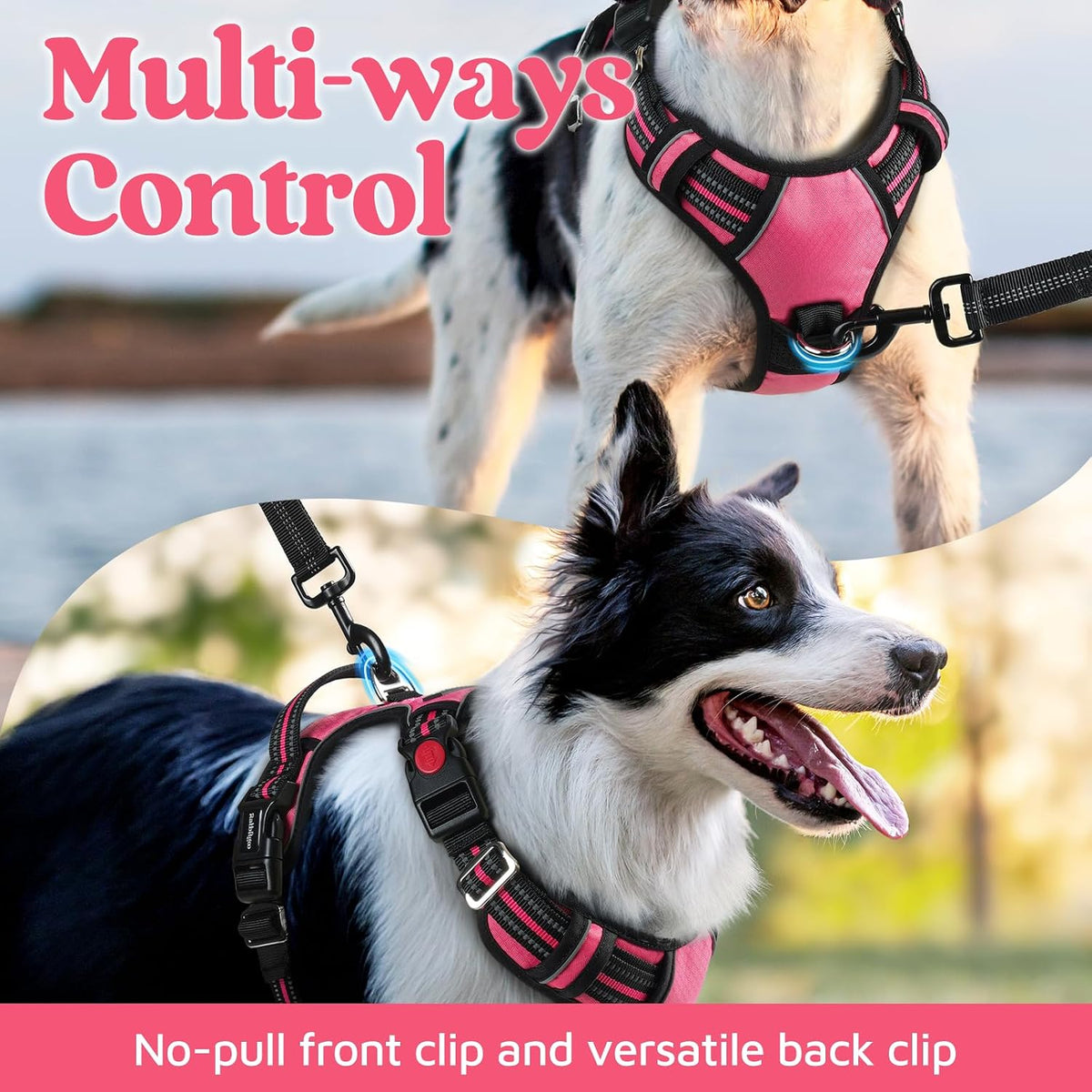 rabbitgoo Dog Harness for Large, No Pull 3 Buckles Easy On & Off