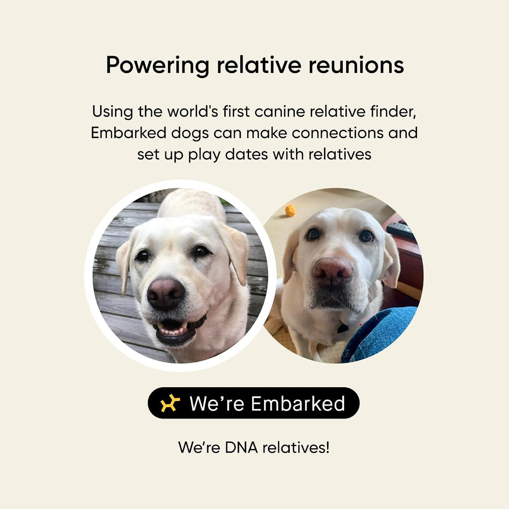 Embark Breed & Health Dog DNA Test – 400+ Breeds, 270+ Health Risks | Only dog DNA test with allergy risk scores. Coat traits, canine relative finder, genetic cancer risk score included.