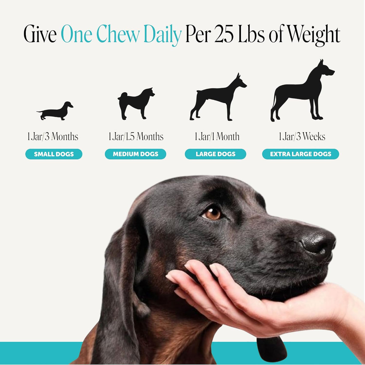 Natural Hemp Calming Chews for Dogs, Maximum Strength Stress Support for Anxiousness with Melatonin & Valerian Root, Non-Sedating Dog Relaxing Chews for Separation, Thunder & Vet Visits – Duck (90 Ct)