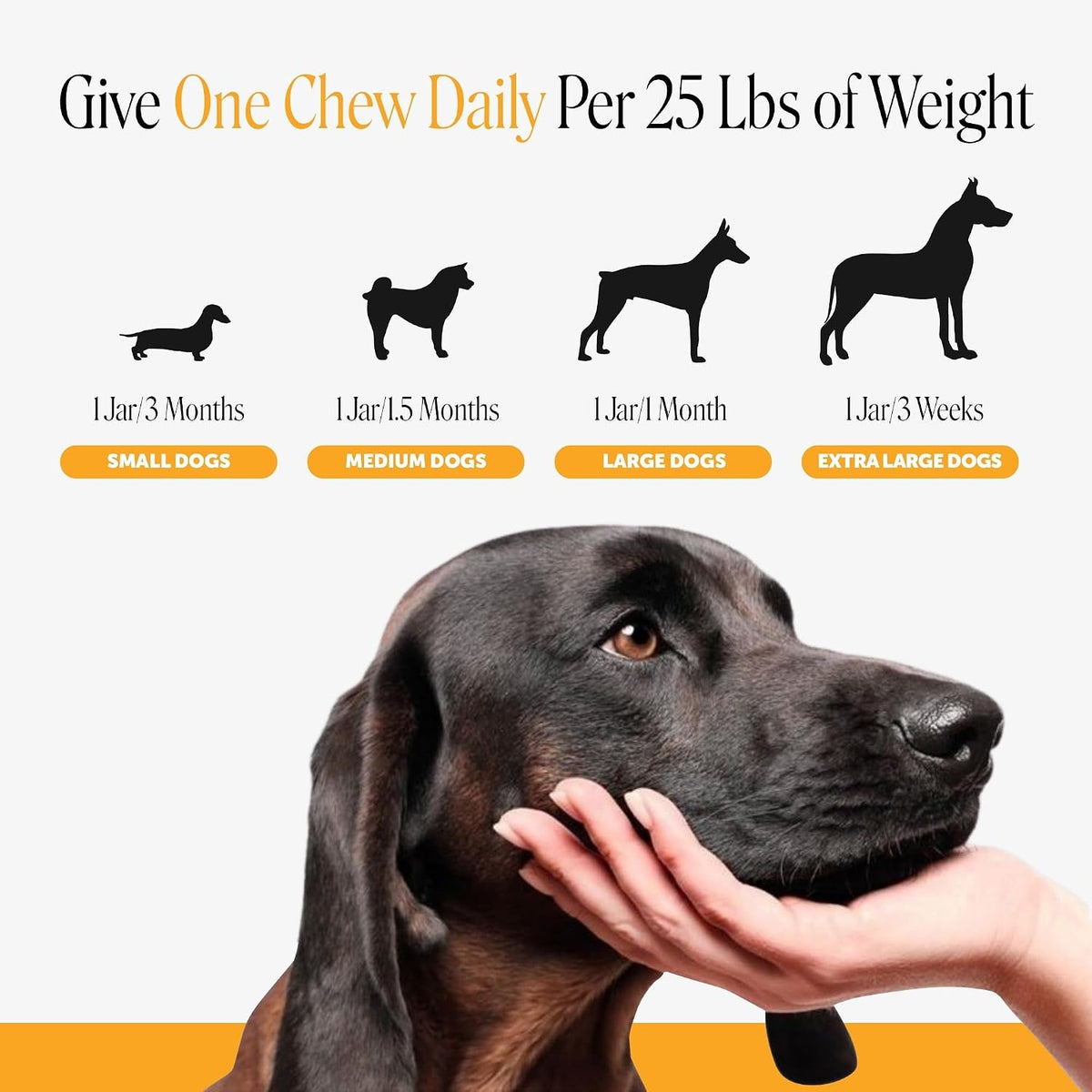 Pet Honesty Dog Allergy Chews - for Paw Licking, Itching & Seasonal Allergies - with Colostrum, Probiotics & Salmon Oil - Vet Recommended Itch Relief Supplement for Dogs (Peanut Butter, 90 Ct)