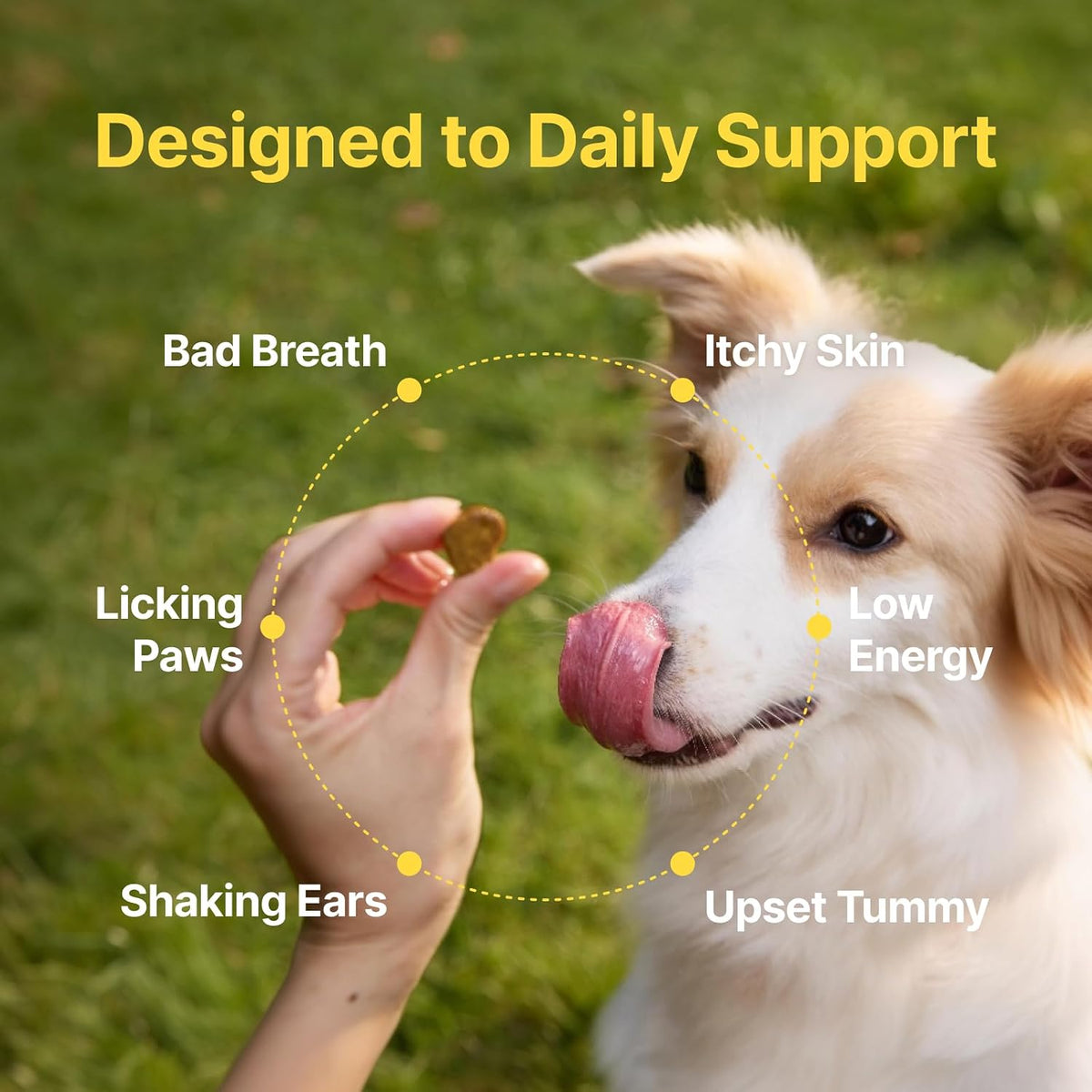 PENPEN Probiotics for Dogs, Dogs Probiotics for Digestive Health, Multi-Probiotic and Enzyme Blend Promote Gut Health & Immune Support, Eases Sensitive Stomachs (Beef Chews, 50ct)