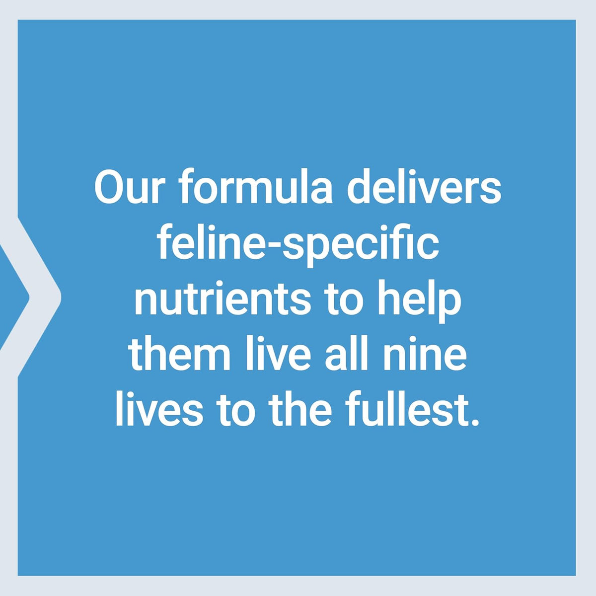 Life Extension Cat Mix, cat Food Supplements, Heart Health, probiotics, L-arginine, Taurine, B12, folic Acid, Vitamin C, Vitamin E, Rosemary, Nutrient Absorption, Gluten-Free, Non-GMO, 85 Servings
