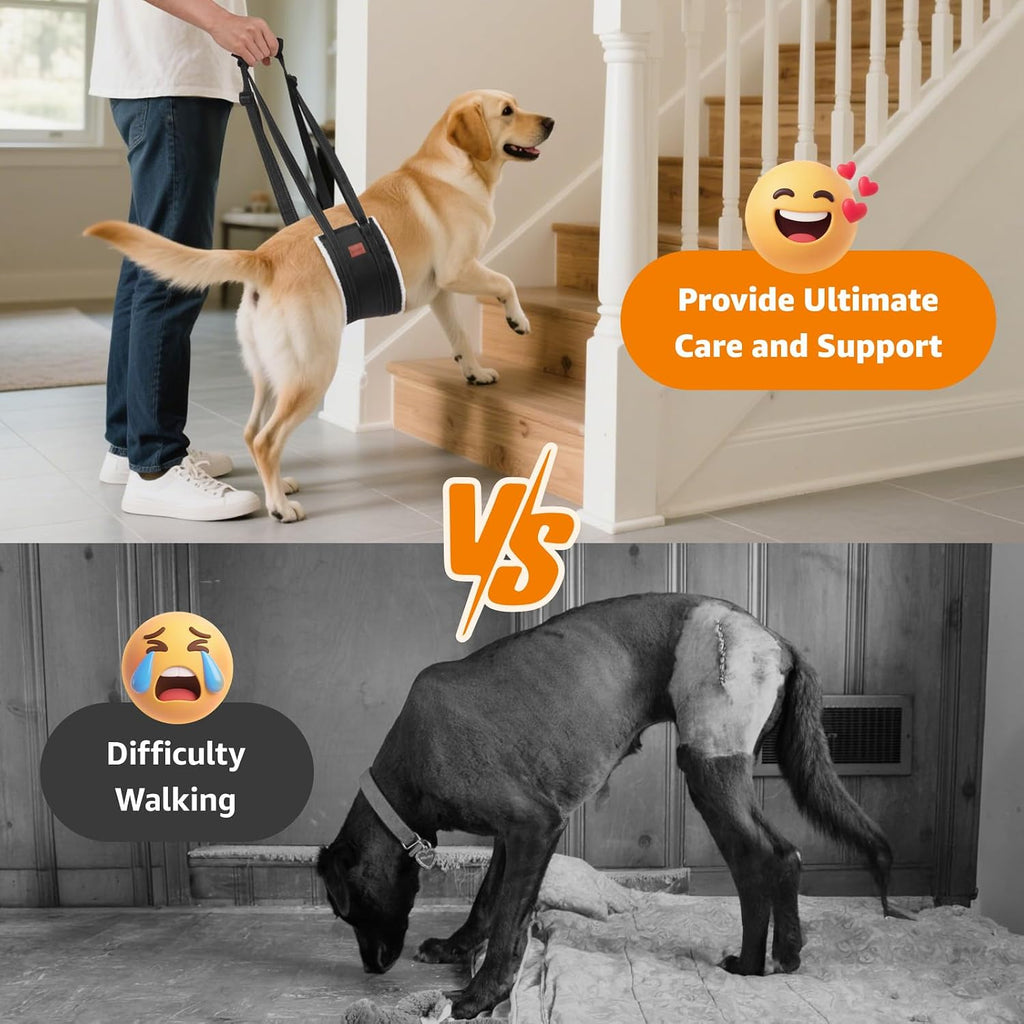 LOOBANI Adjustable Dog Sling for Large Dogs Hind Leg Support ACL Recovery