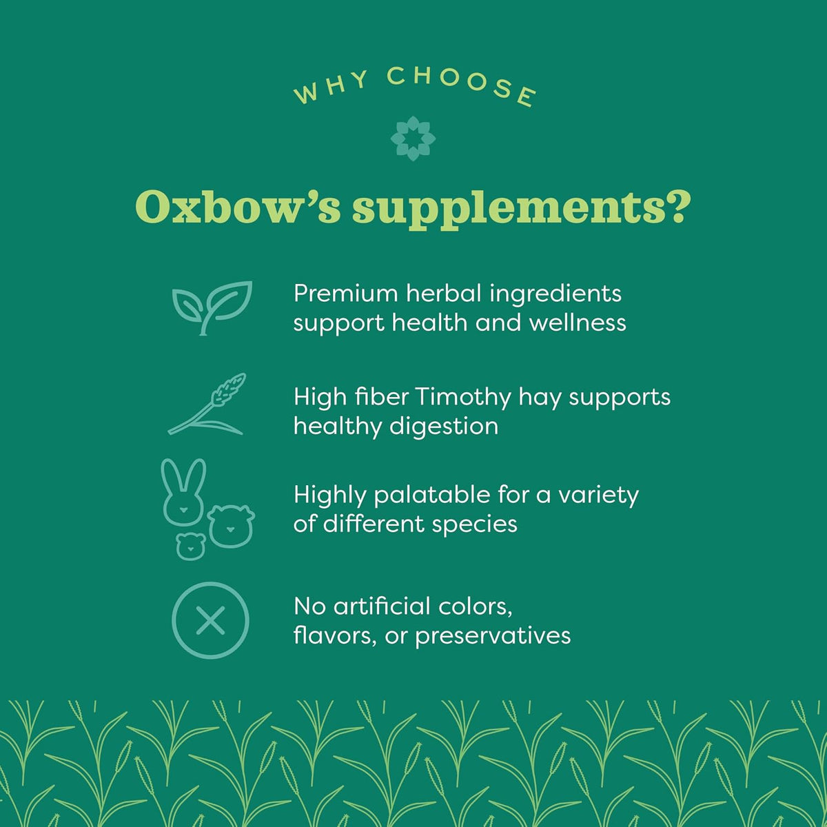 Oxbow Vitamin C Guinea Pig Supplement, High-Fiber Timothy Hay, 4.2 oz
