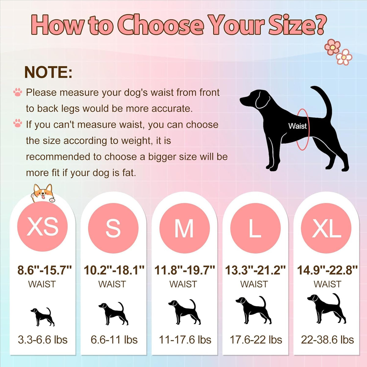 Ambreview Disposable Dog Diapers Female, Just Pull It Up, M 10 PCS | Doggie Diapers for Female Dogs • Strong Absorbency • Leak-Proof Protection • Ideal for Dogs in Heat, Senior & Disabled Dogs