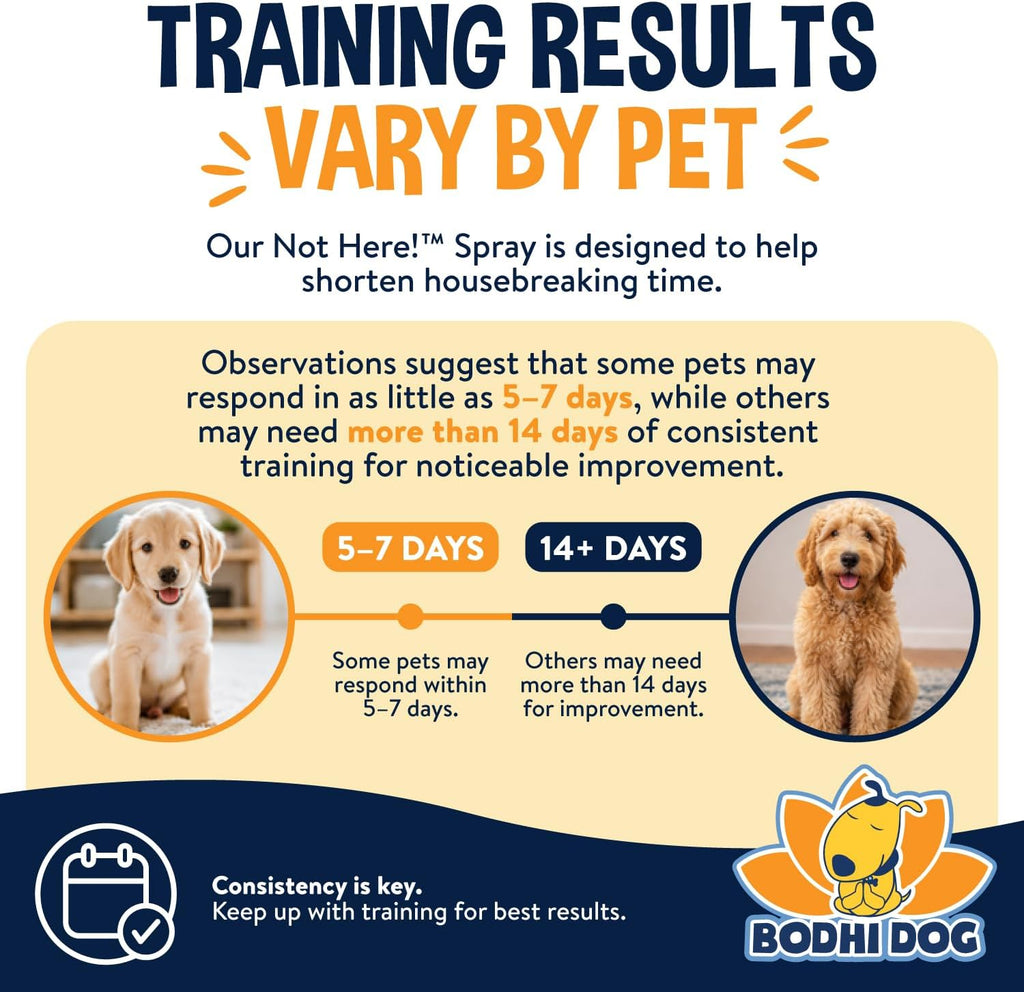 Bodhi Dog Not Here Spray - Trains Pets Where Not To Pee - Dog & Puppy Potty Training Spray to Stop Marking & Urinating Indoors or Outdoors - Safe for Furniture, Carpet & Floors - Made in USA (8 Fl Oz)