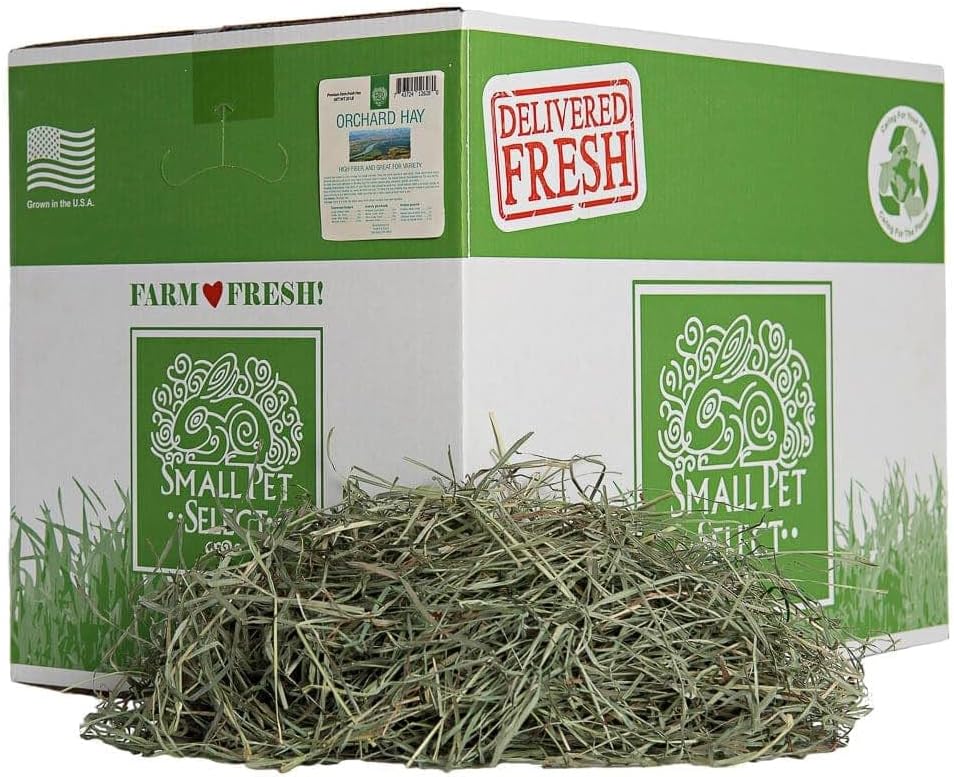 Small Pet Select Orchard Grass Hay Pet Food for Rabbits, Guinea Pigs, Chinchillas and Other Small Animals, Premium Natural Hay Grown in the US, 10 LB