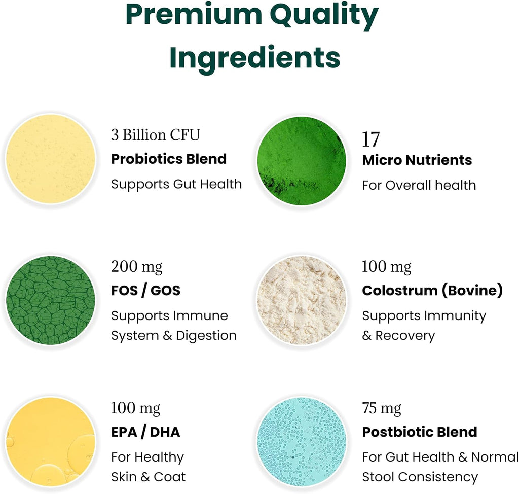 Dog Probiotics and Multivitamin Chews for Digestive Health, Immune Support, Gut Health, Allergy Support, Dog Vitamins, with Vitamin C, Omega 3, Colostrum, 60 Soft Chews per Jar