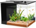 AQUANEAT Fish Tank, 1 Gallon Betta Fish Tank, Small Aquarium Kit with LED Light and Water Filter Pump