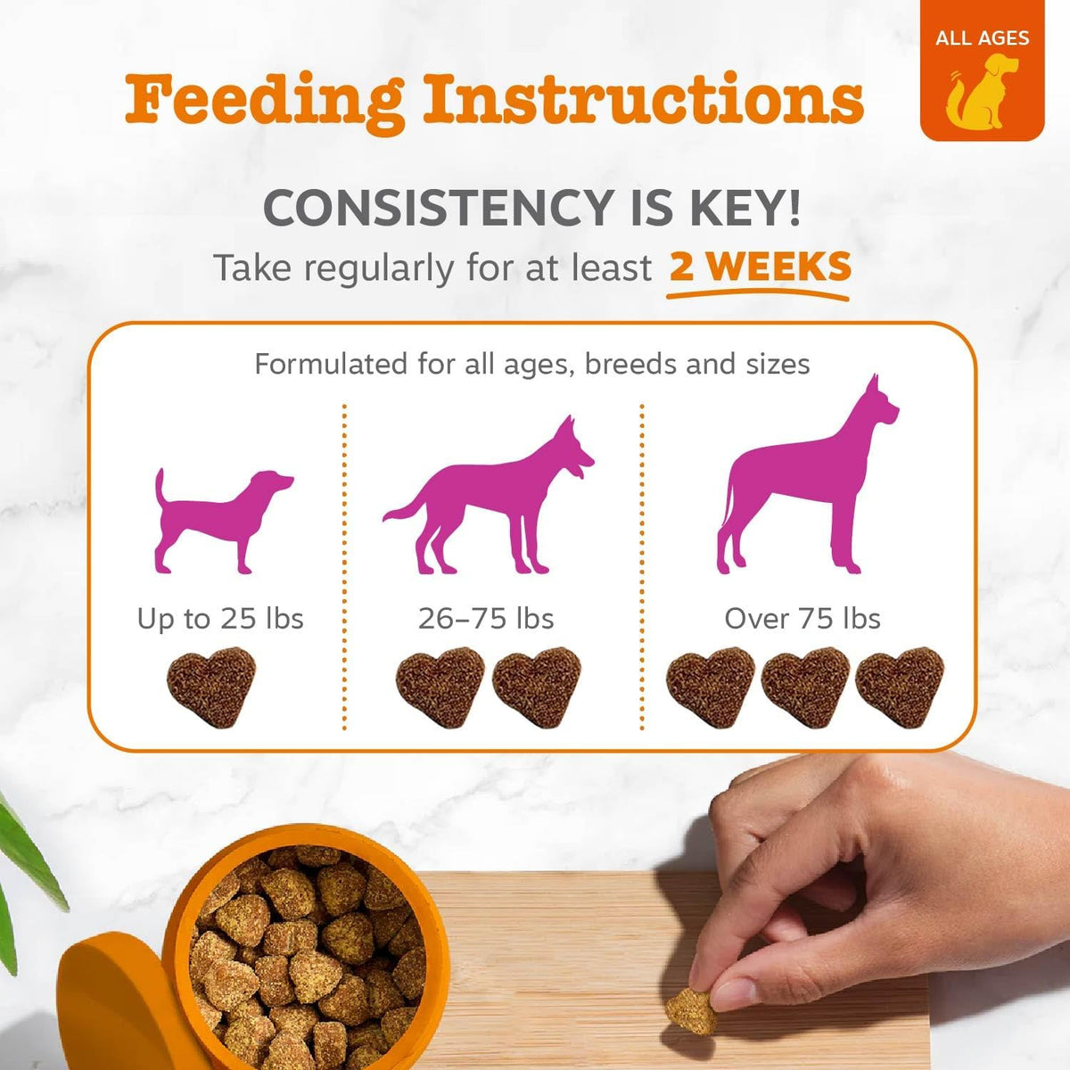 Zesty Paws Salmon Oil for Dogs - Skin & Coat Chews, Salmon, 90 Ct