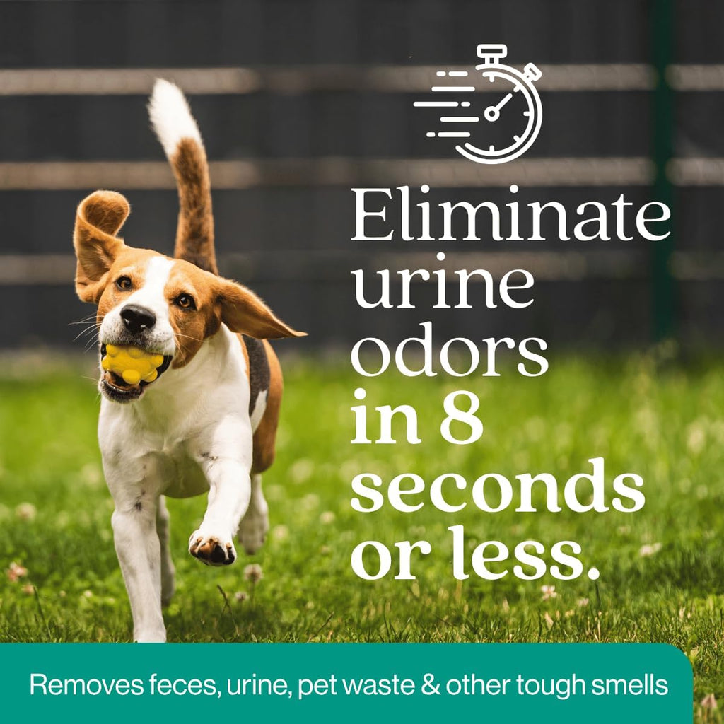 Eco Strong Outdoor Odor Eliminator | Outside Dog Urine Enzyme Cleaner – Powerful Pet, Cat, Animal Scent Deodorizer | Professional Strength for Yard, Turf, Kennels, Patios, Decks (Gallon with Sprayer)