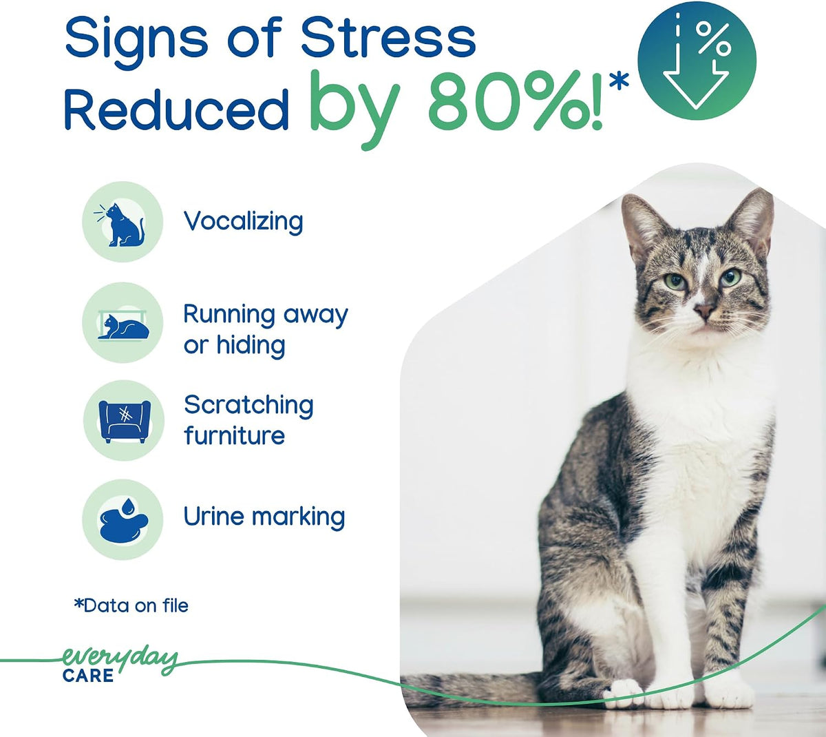 ZENIFEL Gel Diffuser Cat Calming Pheromone|Supports Stress Relief