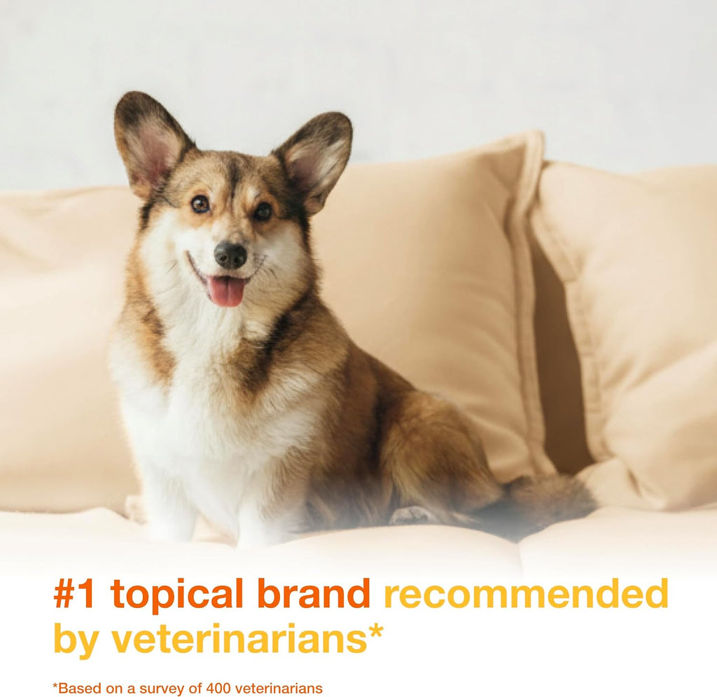 Douxo S3 PYO Medicated Dog Mousse - Bacterial & Yeast Infection Treatment | Chlorhexidine for Dogs; Waterless Shampoo, Antibacterial & Antiseptic, for Dogs Only, Clinically Proven, 5 fl oz