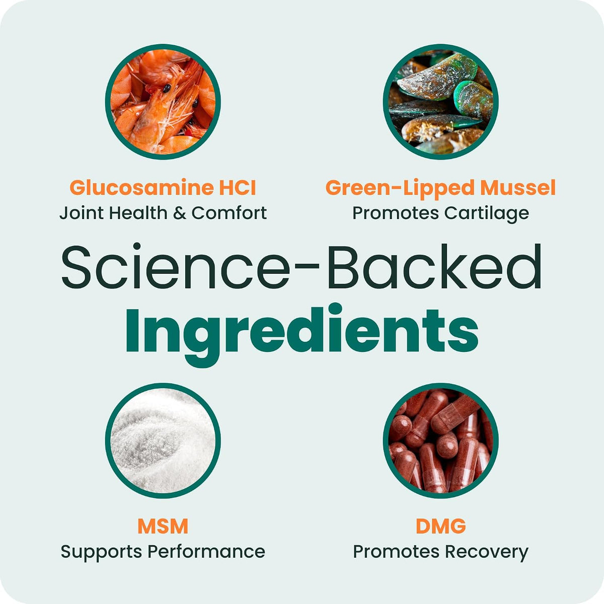 VetriScience Extra Strength Healthy Hip & Joint for Dogs, Chicken, 120ct | Supports Joint Health & Mobility, Vet-formulated w/Glucosamine, MSM, DMG & Green-Lipped Mussel