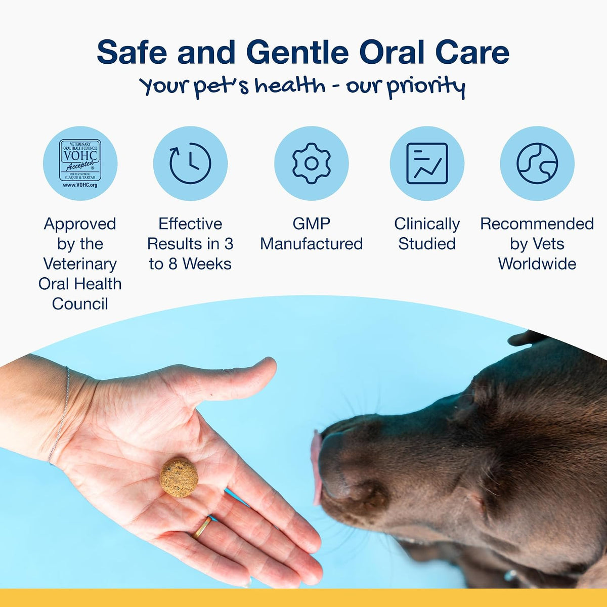 ProDen PlaqueOff Dental Soft Chews with Natural Kelp for Dogs - 90 Ct | Ideal for Small & Medium Breed Dogs & Cats - Supports Normal, Healthy Teeth, Gums & Breath Odor