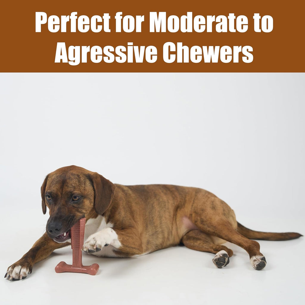 SPOT Bam-Bones Plus T Bone – Bamboo Fiber & Nylon Dog Chew Toy for Moderate to Aggressive Chewers, Durable Long Lasting & Non-Splintering, Beef Flavor Toy for Adult Dogs & Puppies Under 60 lbs, 6 in