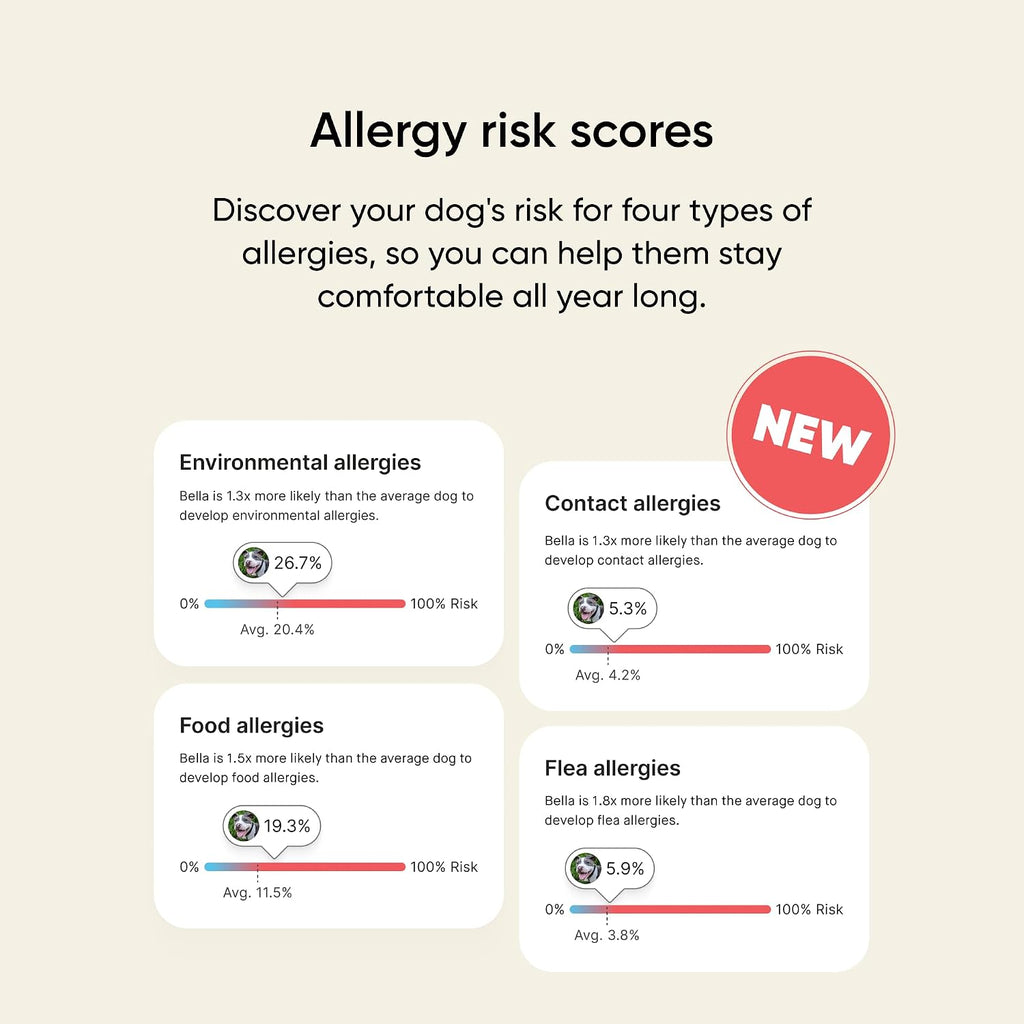 Embark Breed & Health Dog DNA Test – 400+ Breeds, 270+ Health Risks | Only dog DNA test with allergy risk scores. Coat traits, canine relative finder, genetic cancer risk score included.