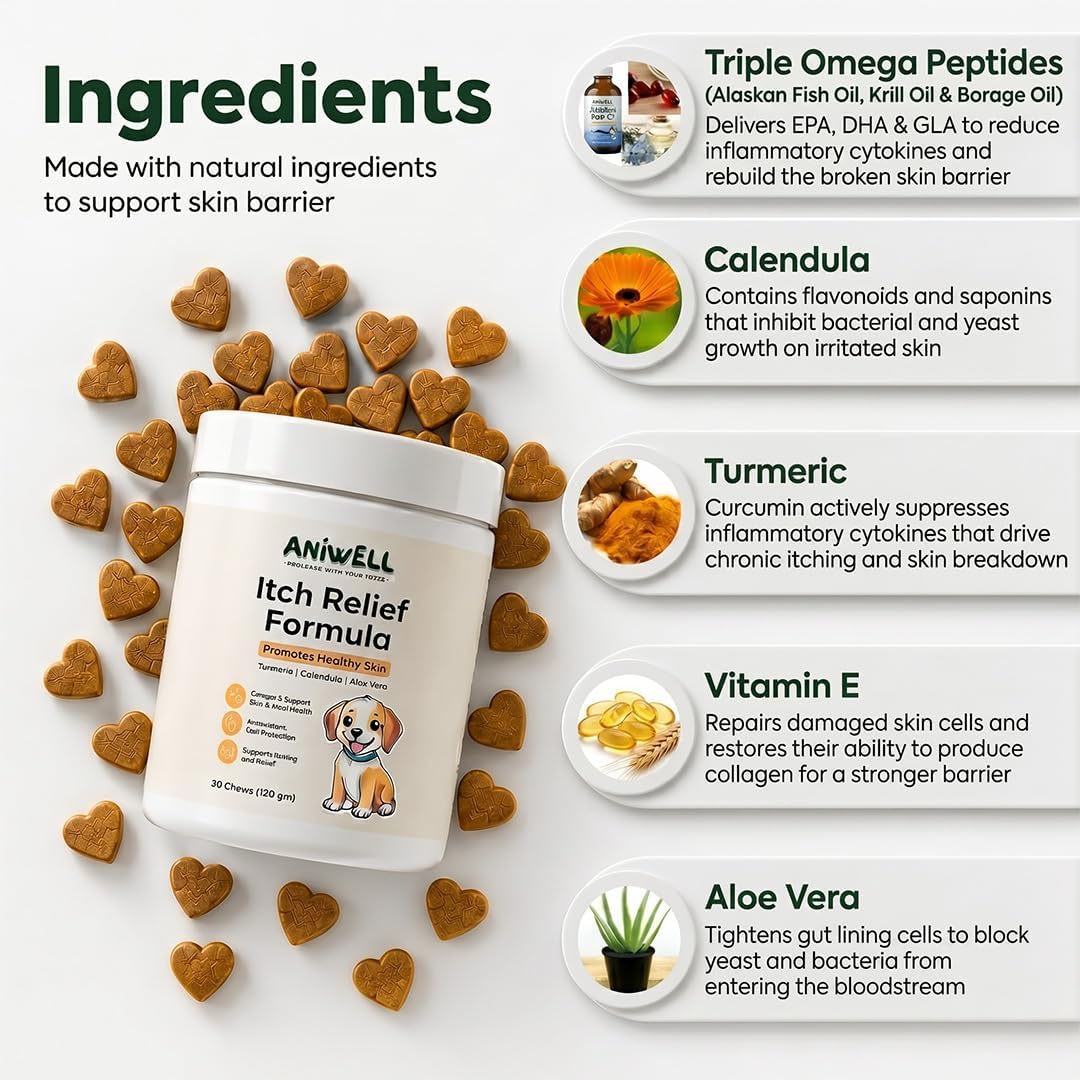 Itch Relief Chews for Dogs – Anti Itch Dog Allergy Relief | Borage Oil, Omega 3, Vitamin E | Dog Itching Skin Relief, Hot Spot Treatment, Seasonal Allergy Supplement | Soft Chews