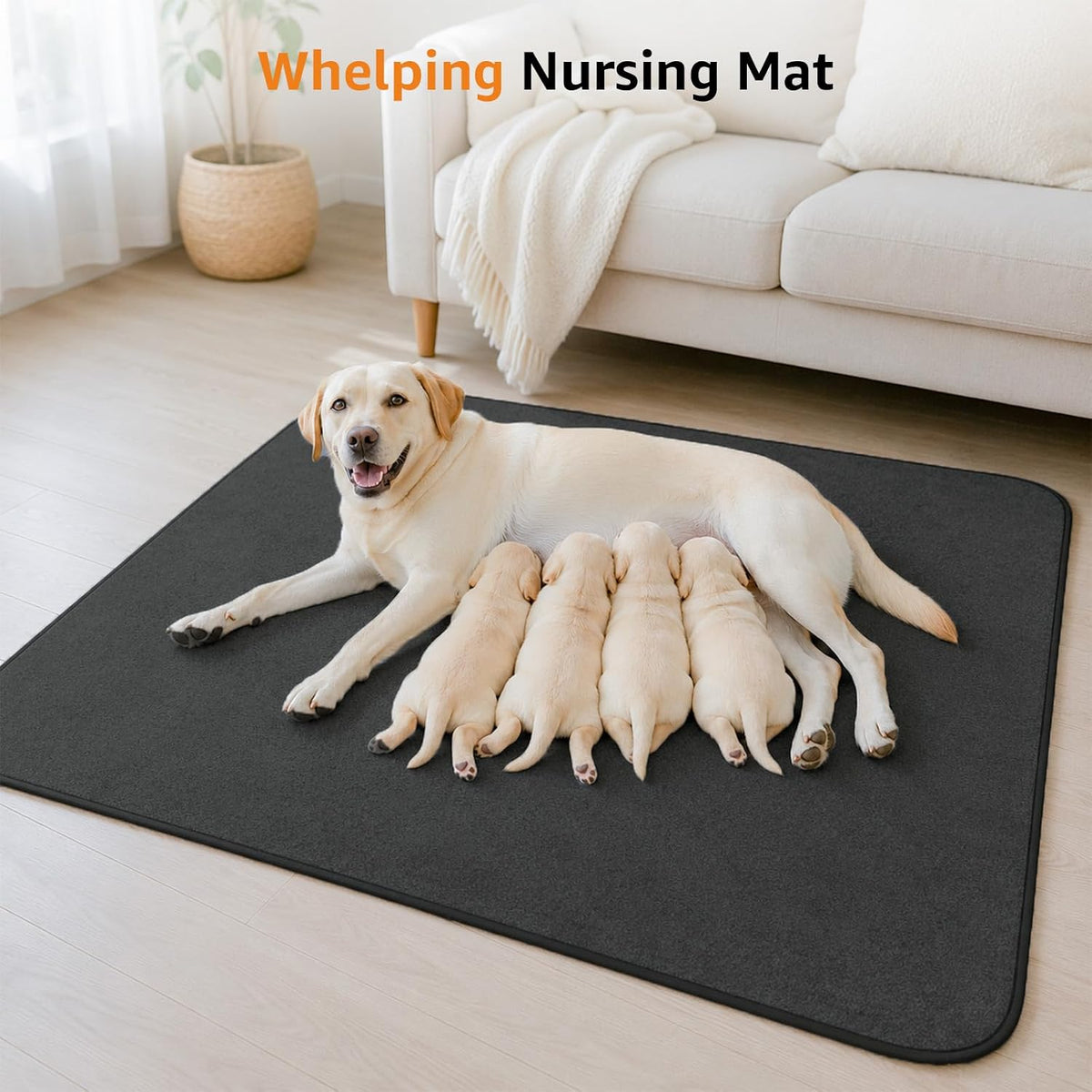 LOOBANI Washable Pee Pads for Dogs, 2 Pack Fast Absorbent Dog Mats,36"x48" | Leak-Proof and Non-Slip Reusable Puppy Pads, Machine Washable, Whelping Pads for Crate, Playpen, Incontinence, Housebreaking