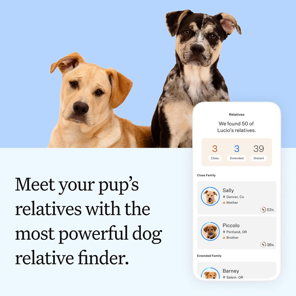 Wisdom Panel Essential Dog DNA Testing Kit - Most Accurate Test for 430+ Dog Breeds, 30 Genetic Health Conditions, 50+ Traits, Relatives, Ancestry, 1 Pack