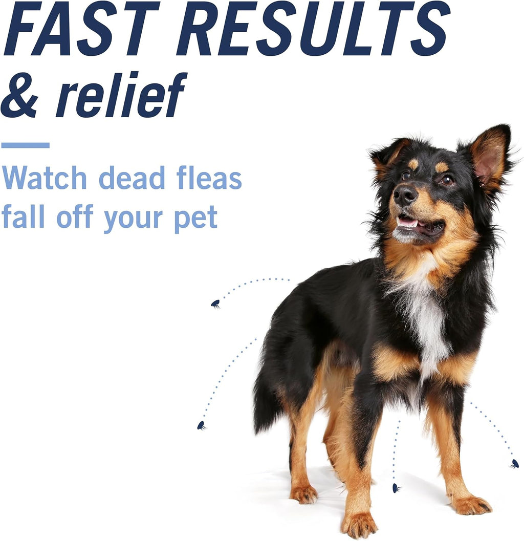 PetArmor CAPACTION (nitenpyram) Oral Flea Treatment for Dogs, Fast Acting Tablets Start Killing Fleas in 30 Minutes, Dogs Over 25 lbs, 6 Doses (Pack of 1) (Packaging May Vary) | Ideal for Dogs 25+ lbs; Oral Tablet, No Mess; 6 doses; Fast Flea Knockdown